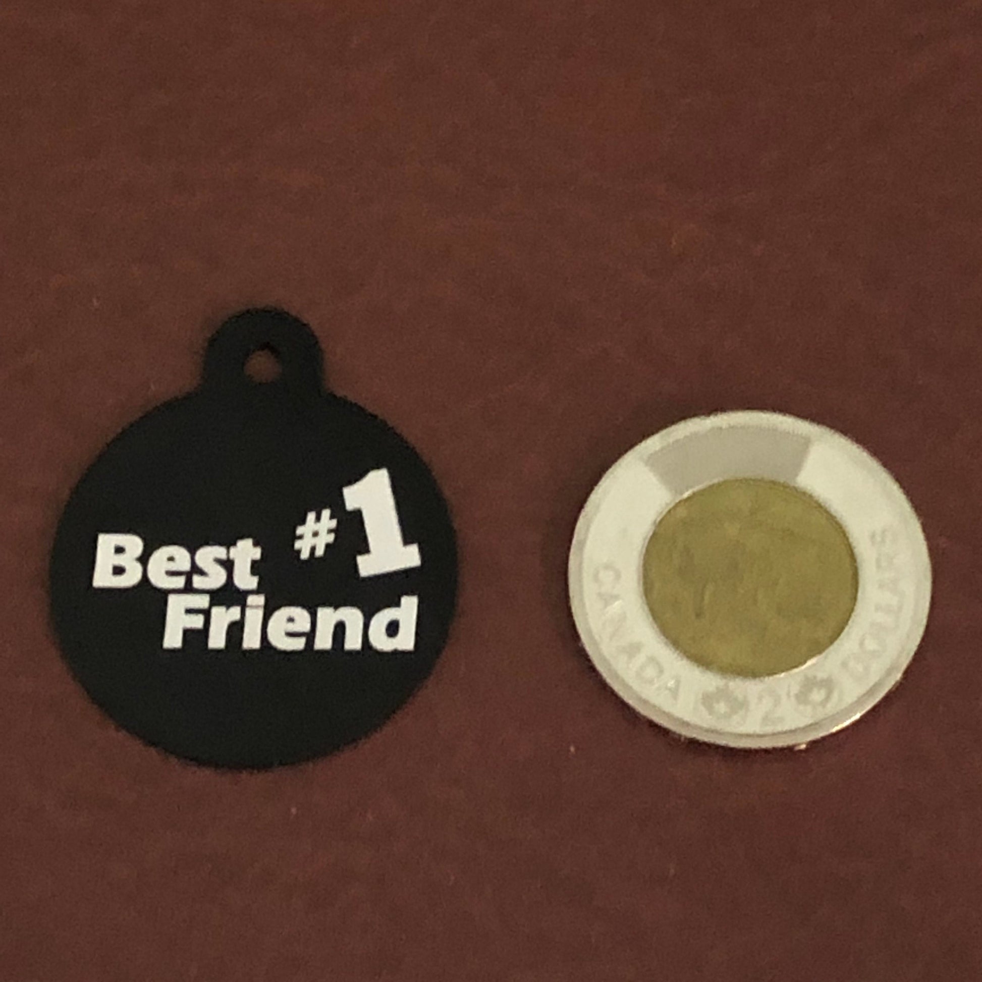 Best Friend #1, BFF, Large Circle Tag, Black Personalized Aluminum Tag, Diamond Engraved Dog Tag Cat Tag Animal Tag Puppy Tag For Dog Collar