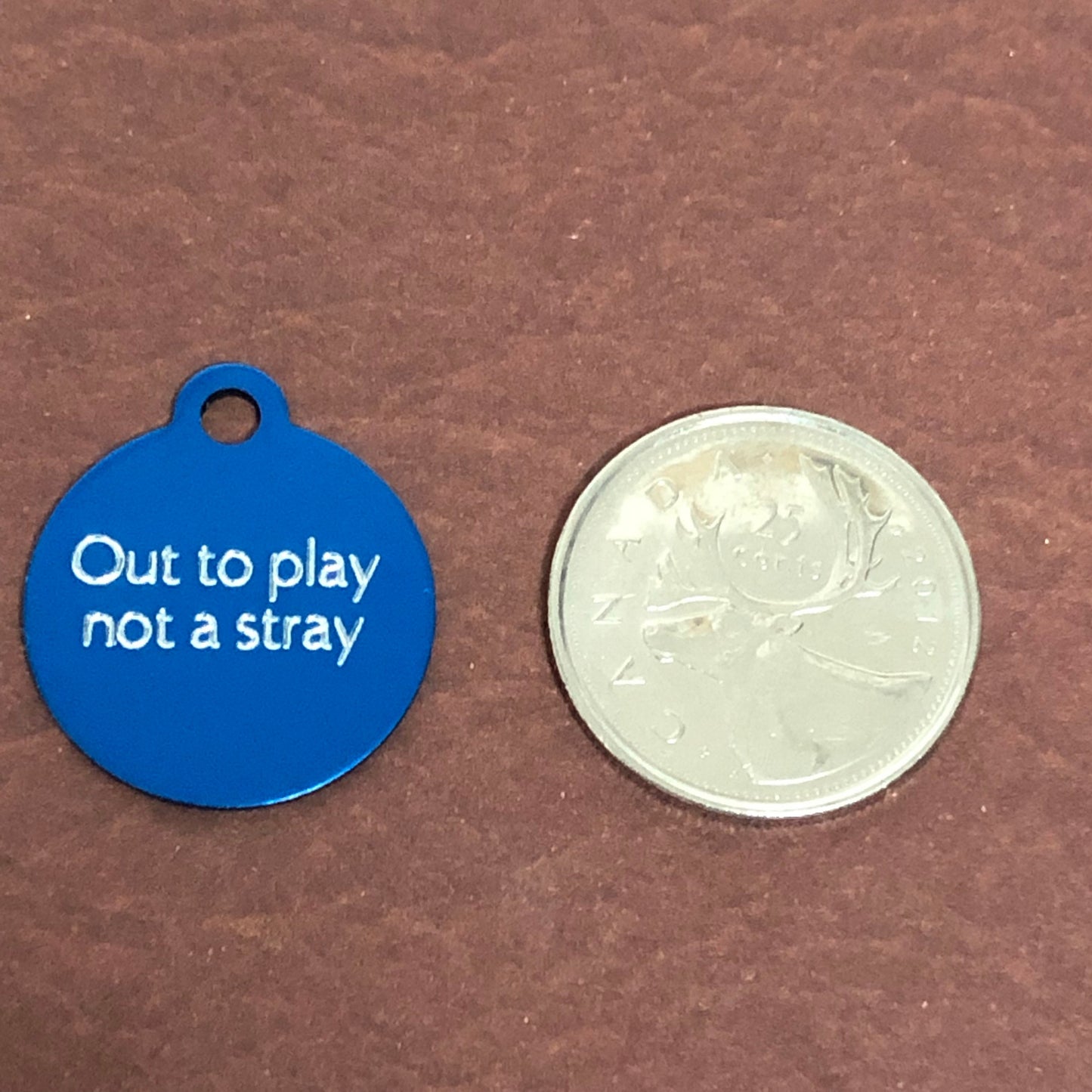 Out to play not a stray, Small Circle Aluminum Tag, Personalized Diamond Engraved, Cat ID Tags, For Cat Collar, Pet id Tag, OTPSRC