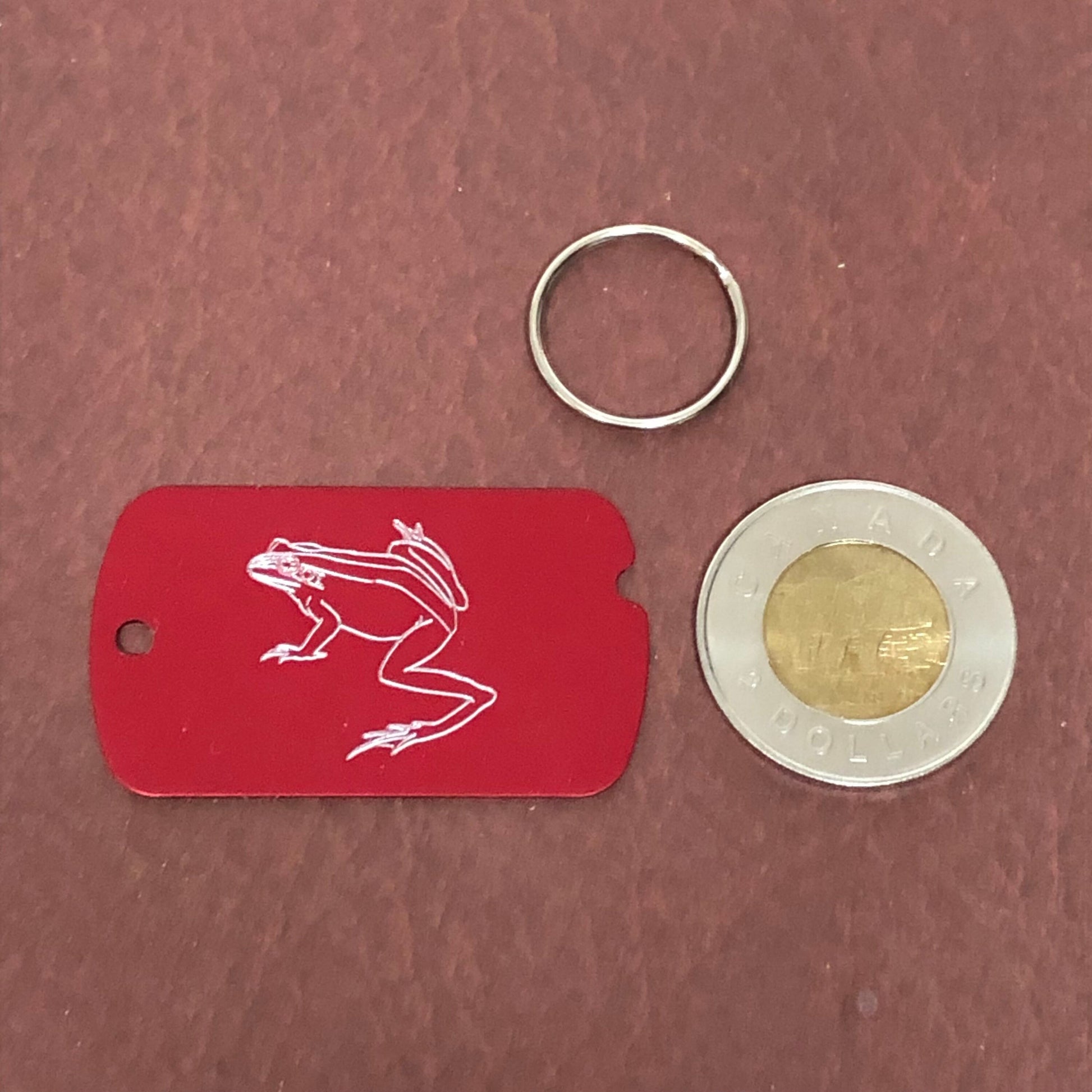 Frog, Toad, Amphibians, Dog Tag, ID Tag Personalized Aluminum Diamond Engraved for Carry-on, Backpacks, Bags, Key Chain Suitcase, CA3AMI