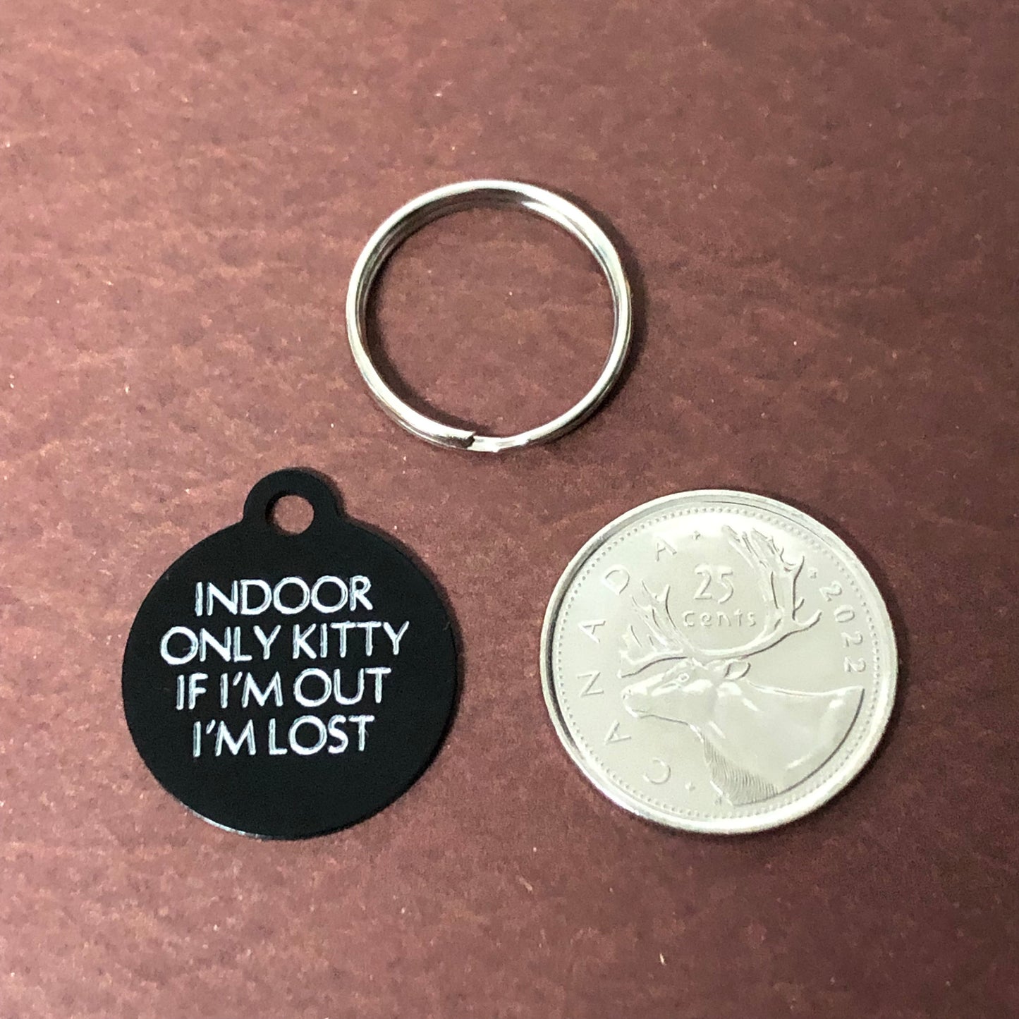 Indoor Only Kitty if I’m out I’m lost Small Circle Aluminum Tag Personalized Diamond Engraved Cat ID Tags
