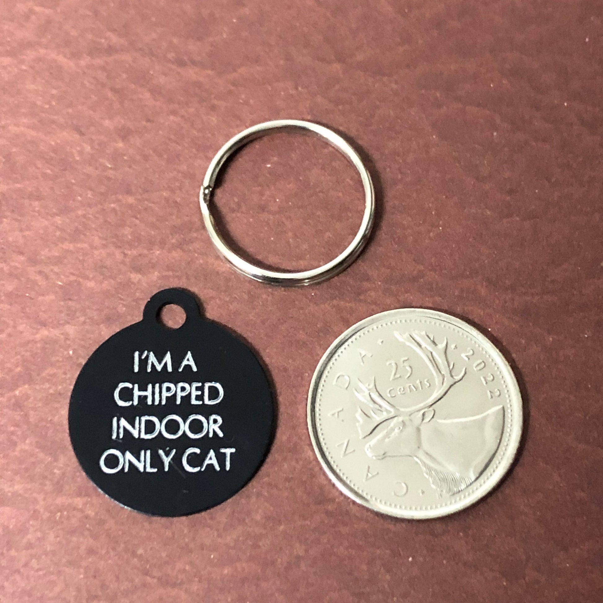 I'm a chipped indoor only cat, Small Circle Aluminum Tag
