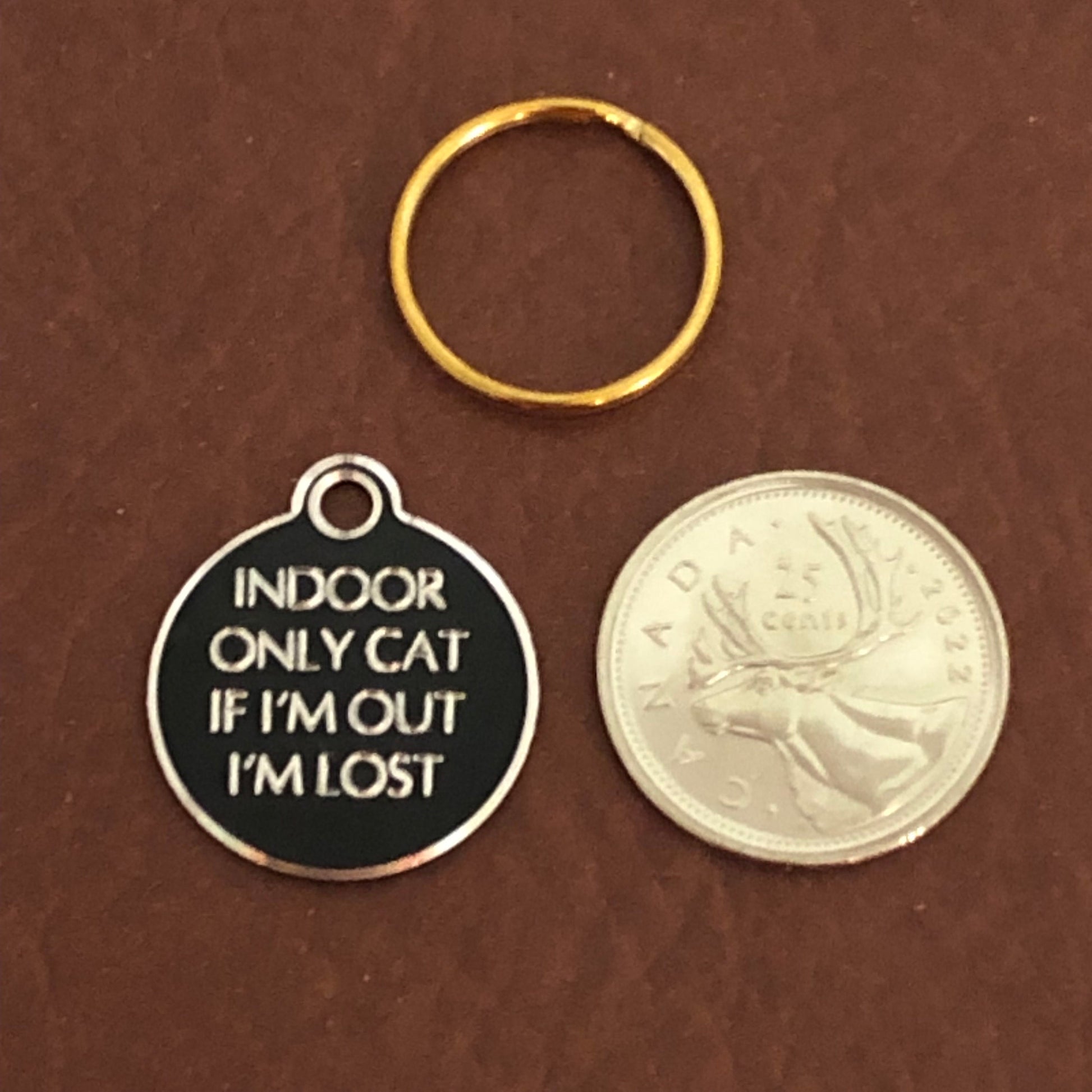 Indoor Only Cat if I’m out I’m lost Small Circle HI-LITE Tag