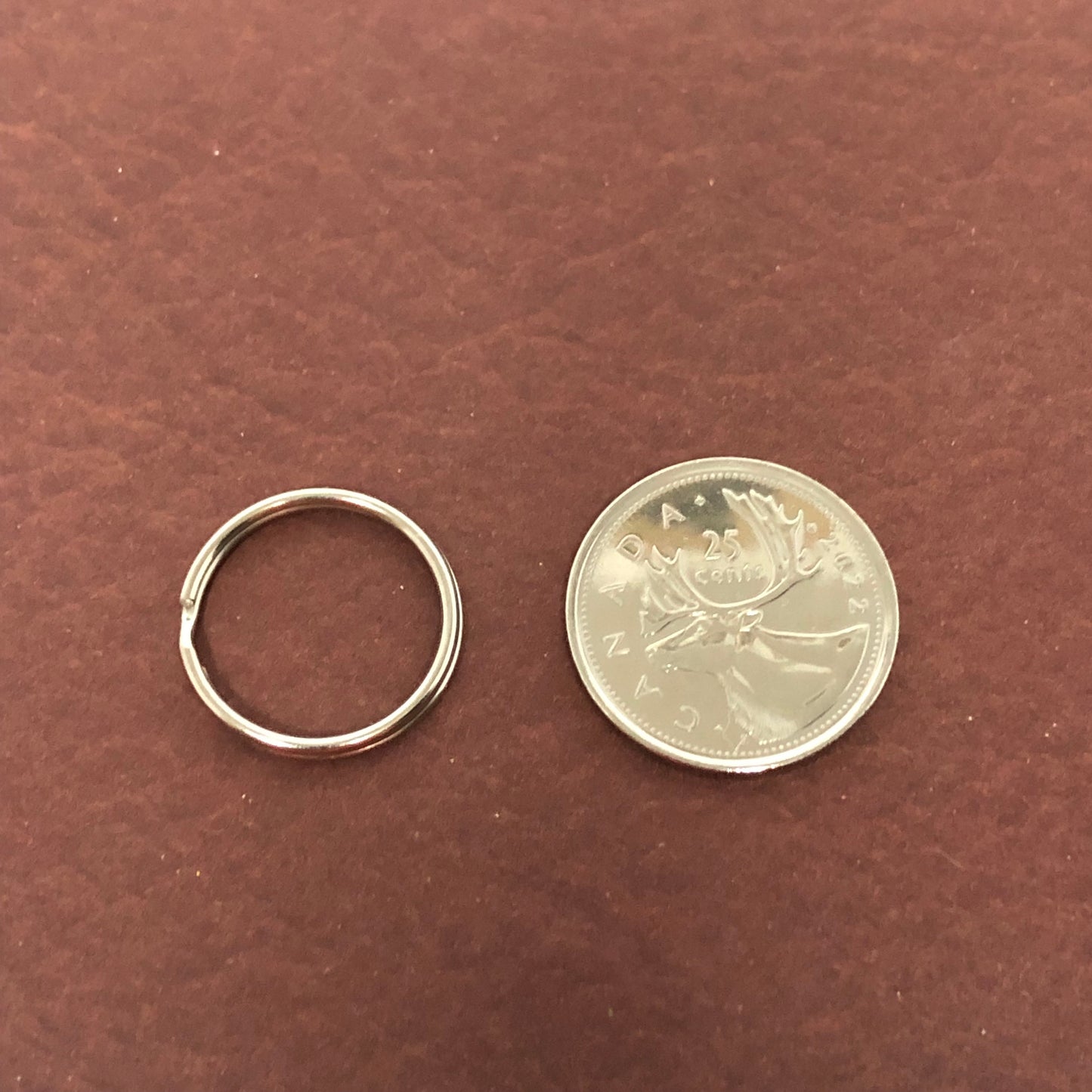 Turtle Large Heart Aluminum Tag, Personalized Diamond Engraved, Pet Tag, Cat Tag, Dog Tag, id tag, for Bags, Backpacks, Key Chains CA9APLHT