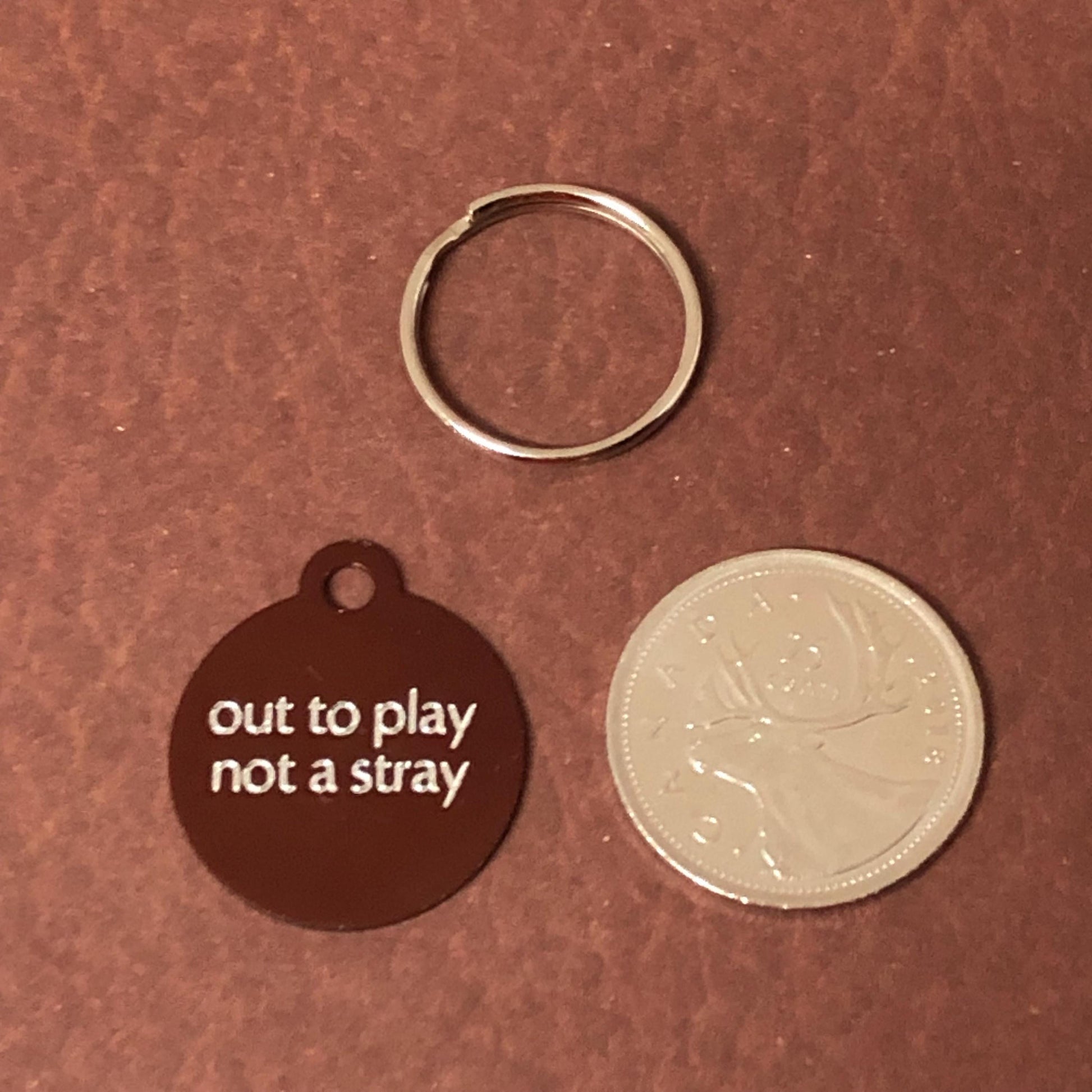 out to play not a stray, Small Circle Aluminum Tag, Personalized Diamond Engraved, Cat ID Tags, For Cat Collar, Pet id Tag, OTPSRC2