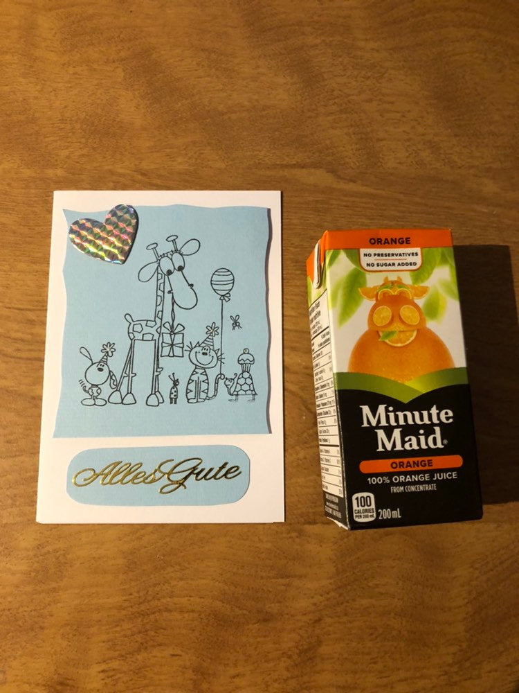 Alles Gute Deutsche Karte Handgemacht All the Best German Giraffe and Friends Stamped Handmade Card HGCBC21