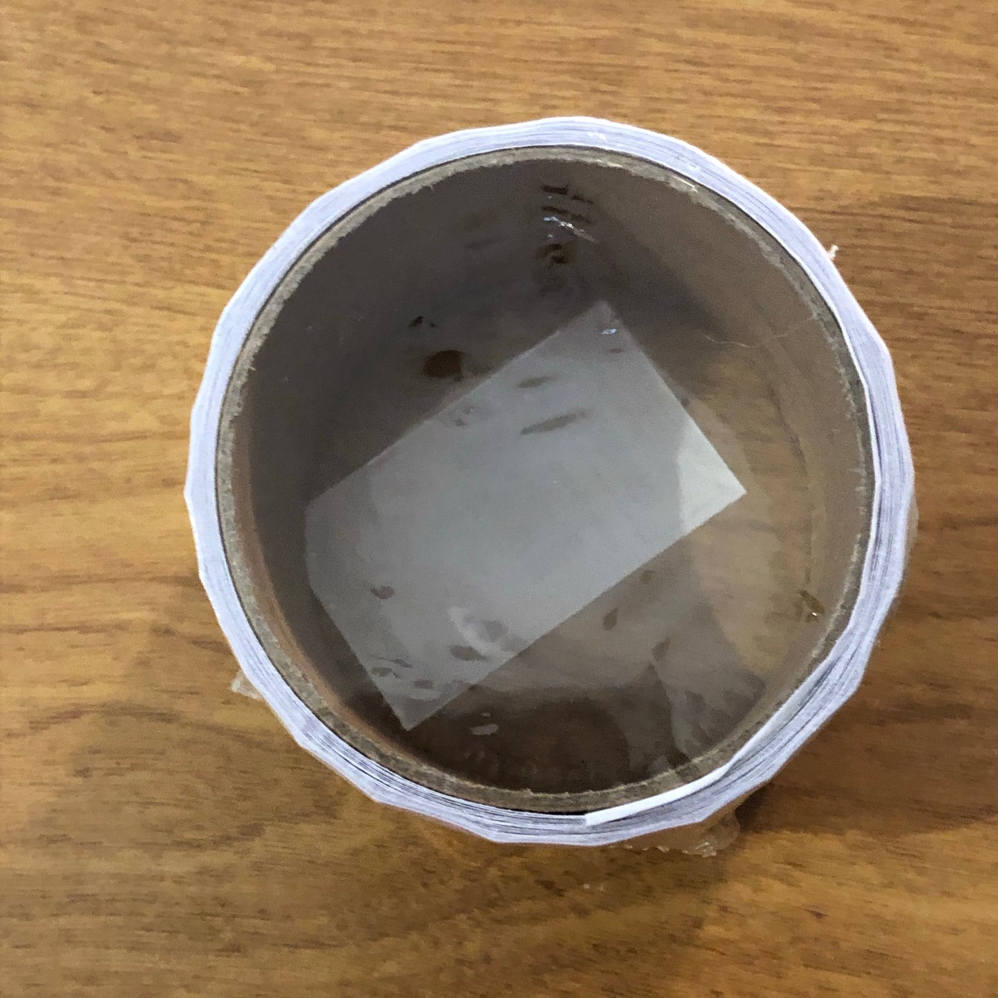 Dinosaur Stickers - 1 Roll of 100