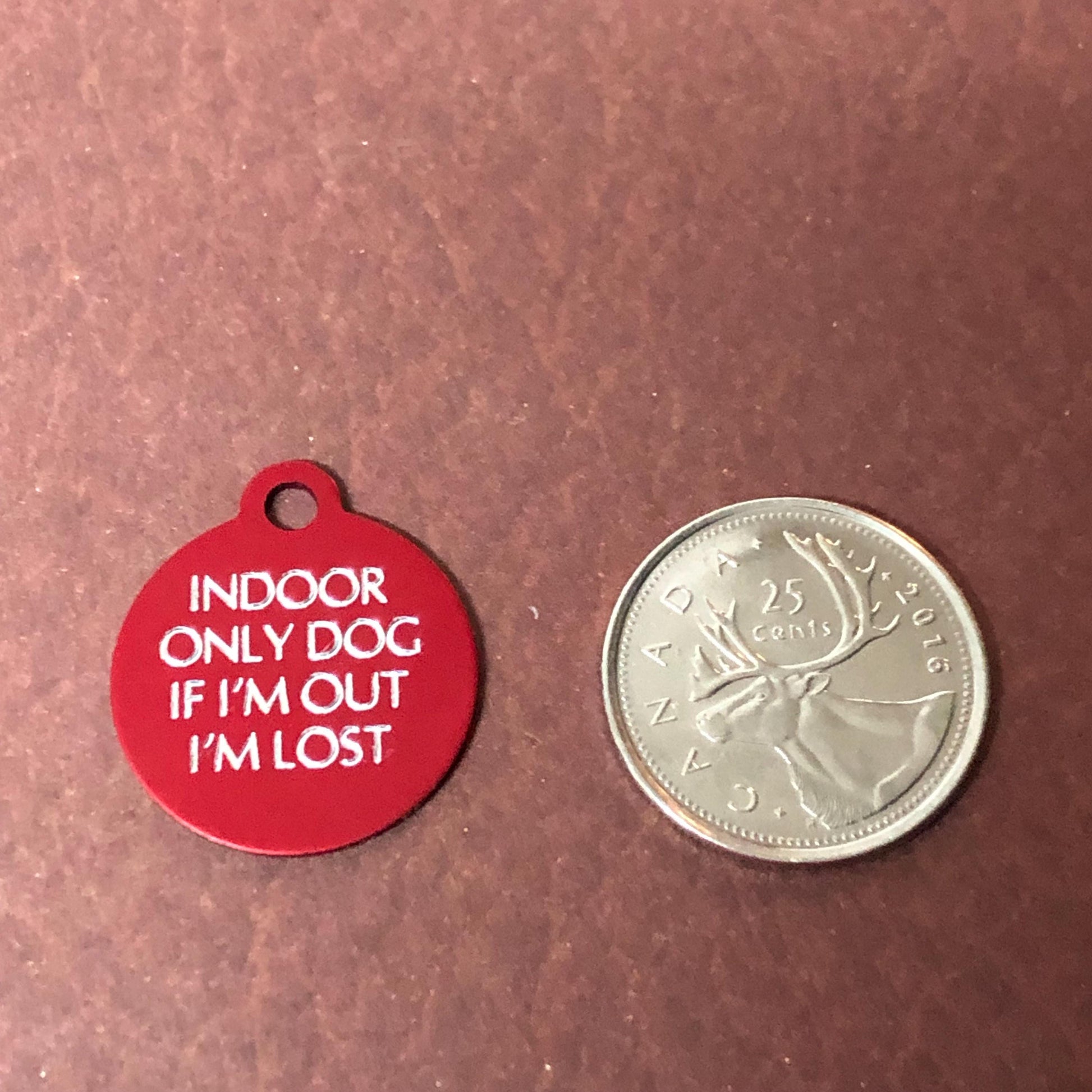 Indoor Only Dog if I’m out I’m lost Small Circle Aluminum Tag Personalized Diamond Engraved Dog ID Tags