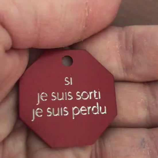 si je suis sorti je suis perdu, Large Stop Sign, Aluminum Tag, Available in Red or Gold Personalized Diamond Engraved Cat Dog Tags SJSSLSS