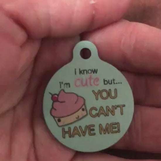 I Know I'm cute but... YOU CAN'T Have Me! Dog Tag Cat Tag Large Circle Tag Personalized Aluminum Tag Diamond Engraved Puppy Tag Kitty Tag