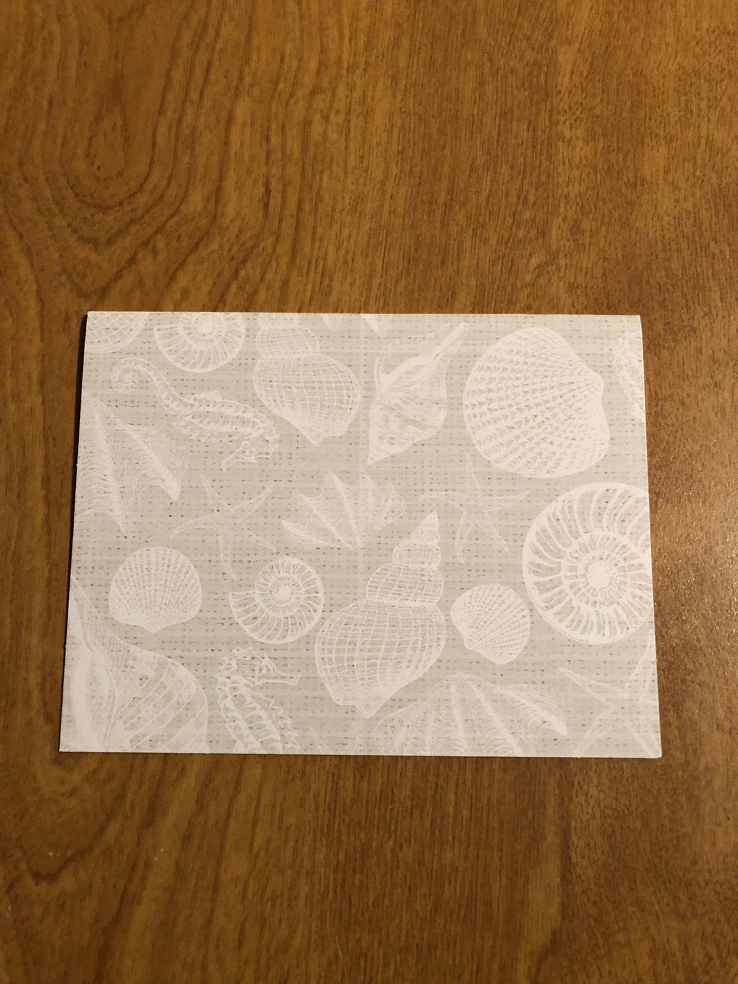 Seashells Blank Cards and Envelopes 6 Pack